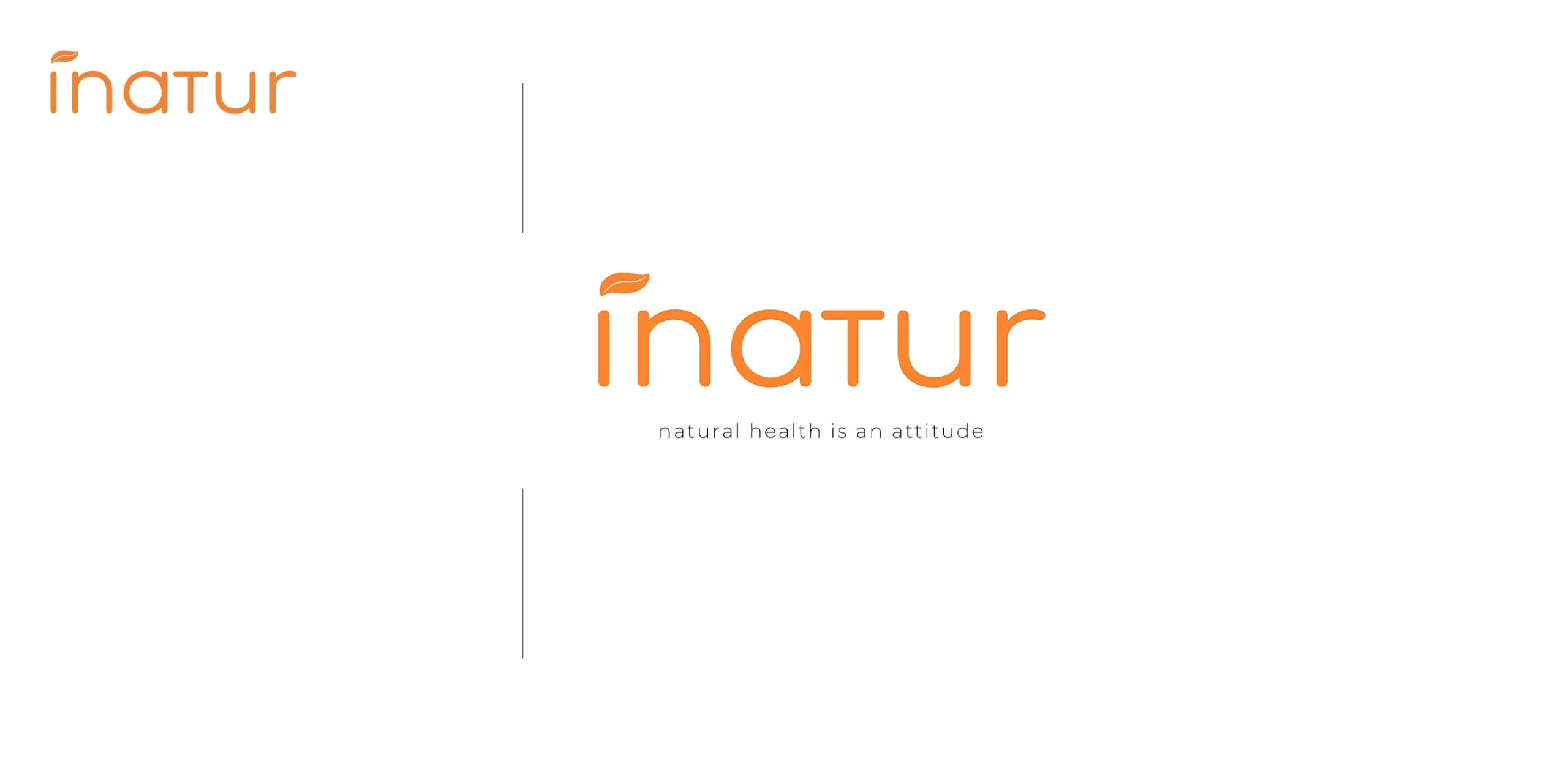 Melatonina Retard Pura INATUR