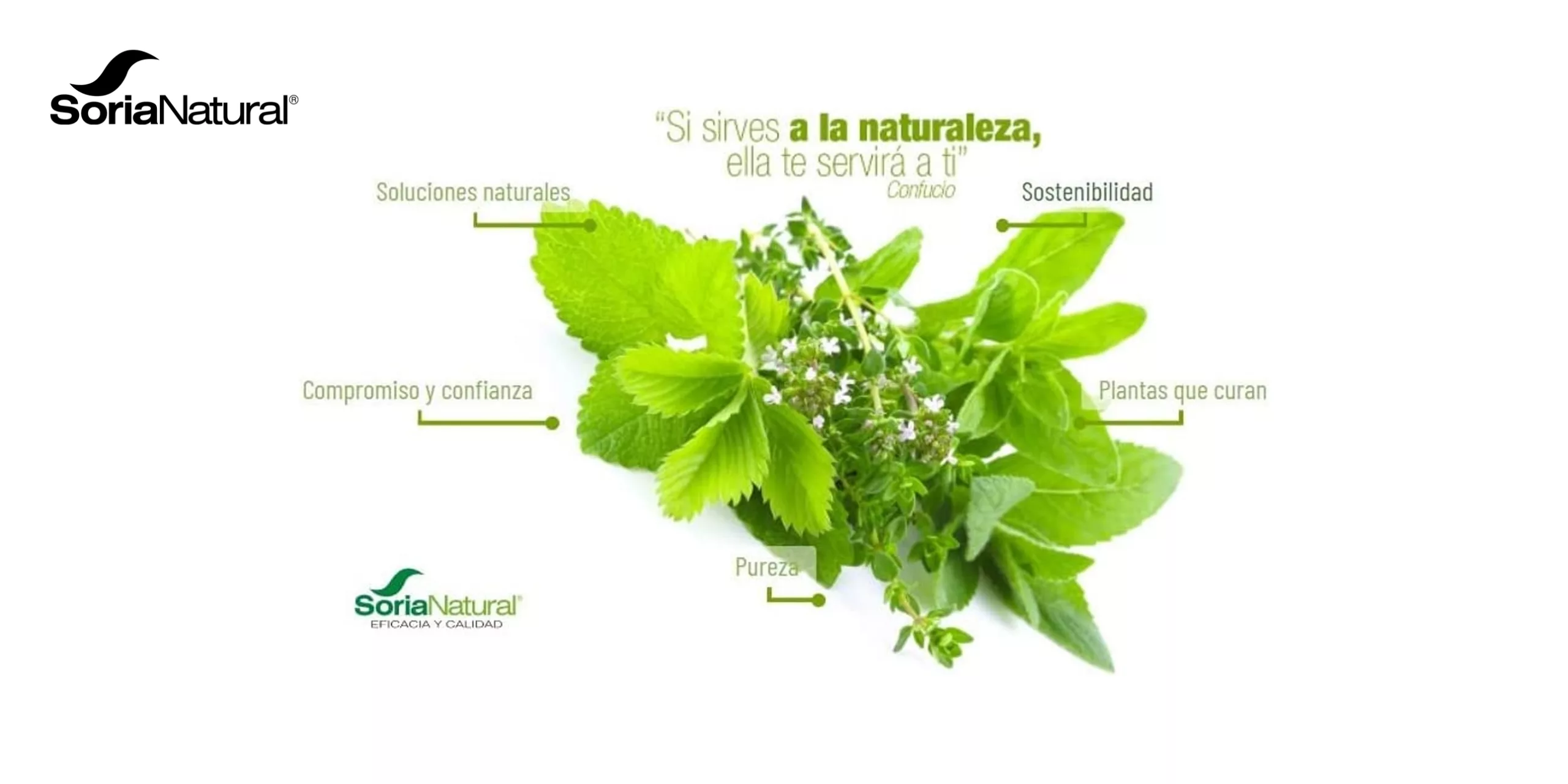 MELATONINA -SORIANATURAL