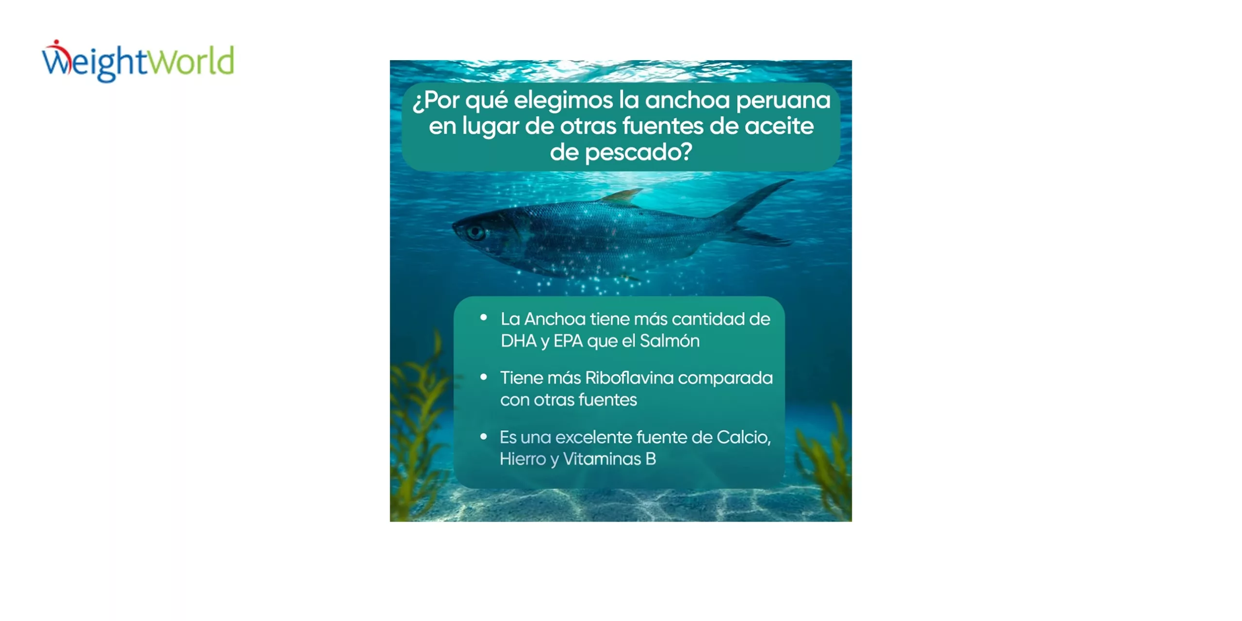 Omega 3 Cápsulas WeightWorld