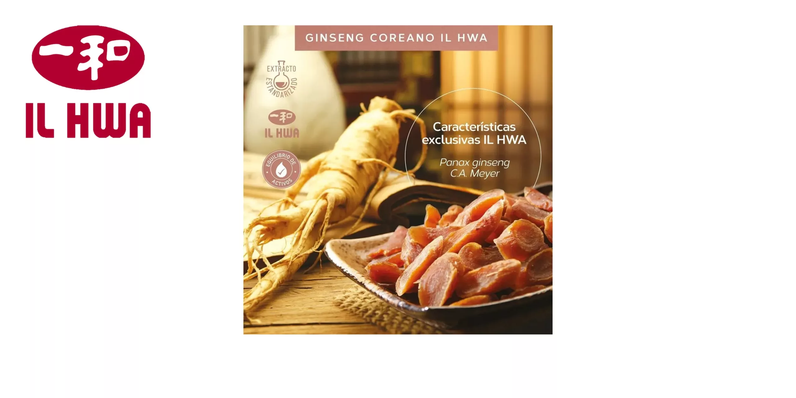 GINSENG COREANO PURO ILHAW