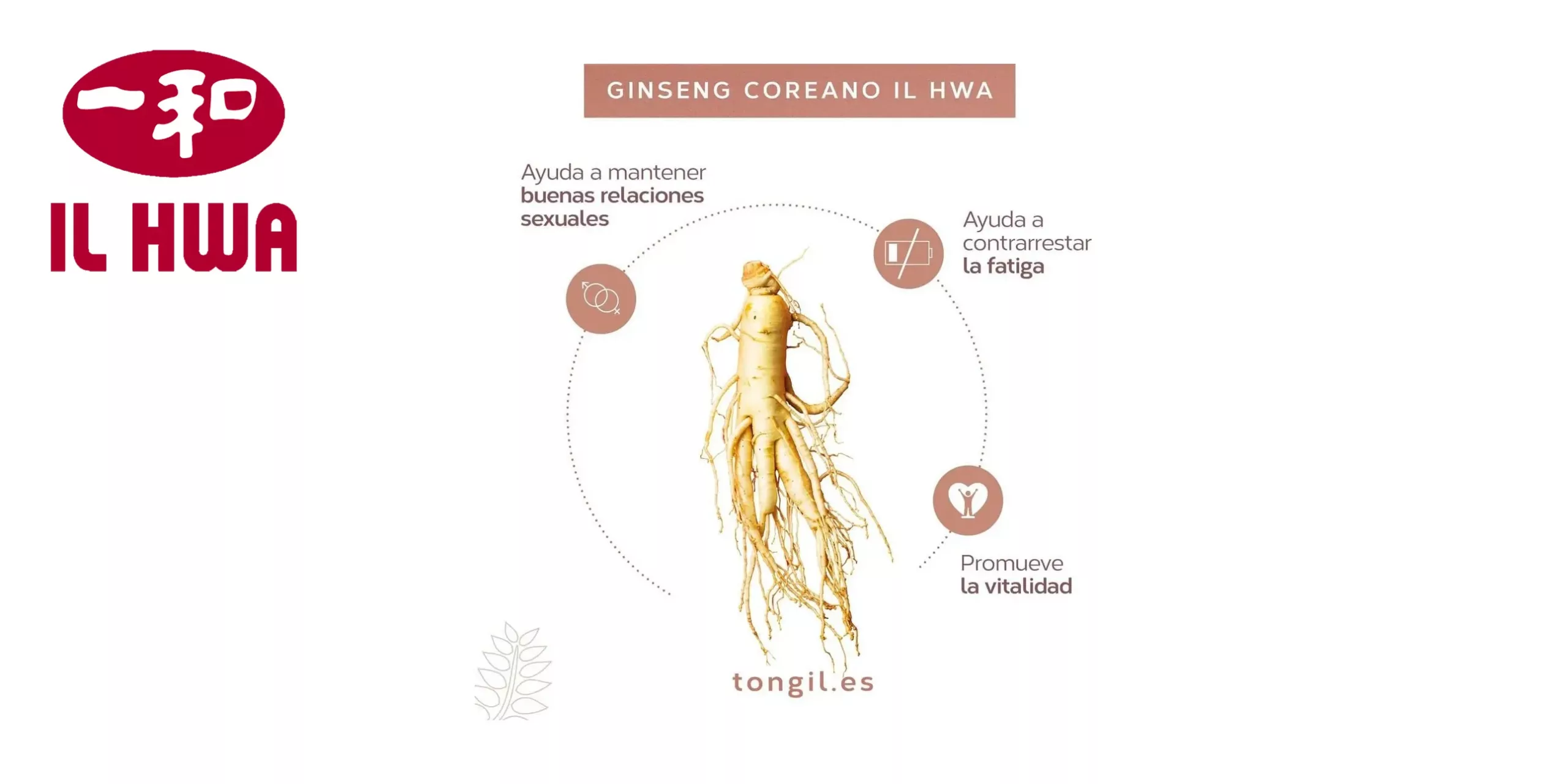 GINSENG COREANO PURO ILHAW