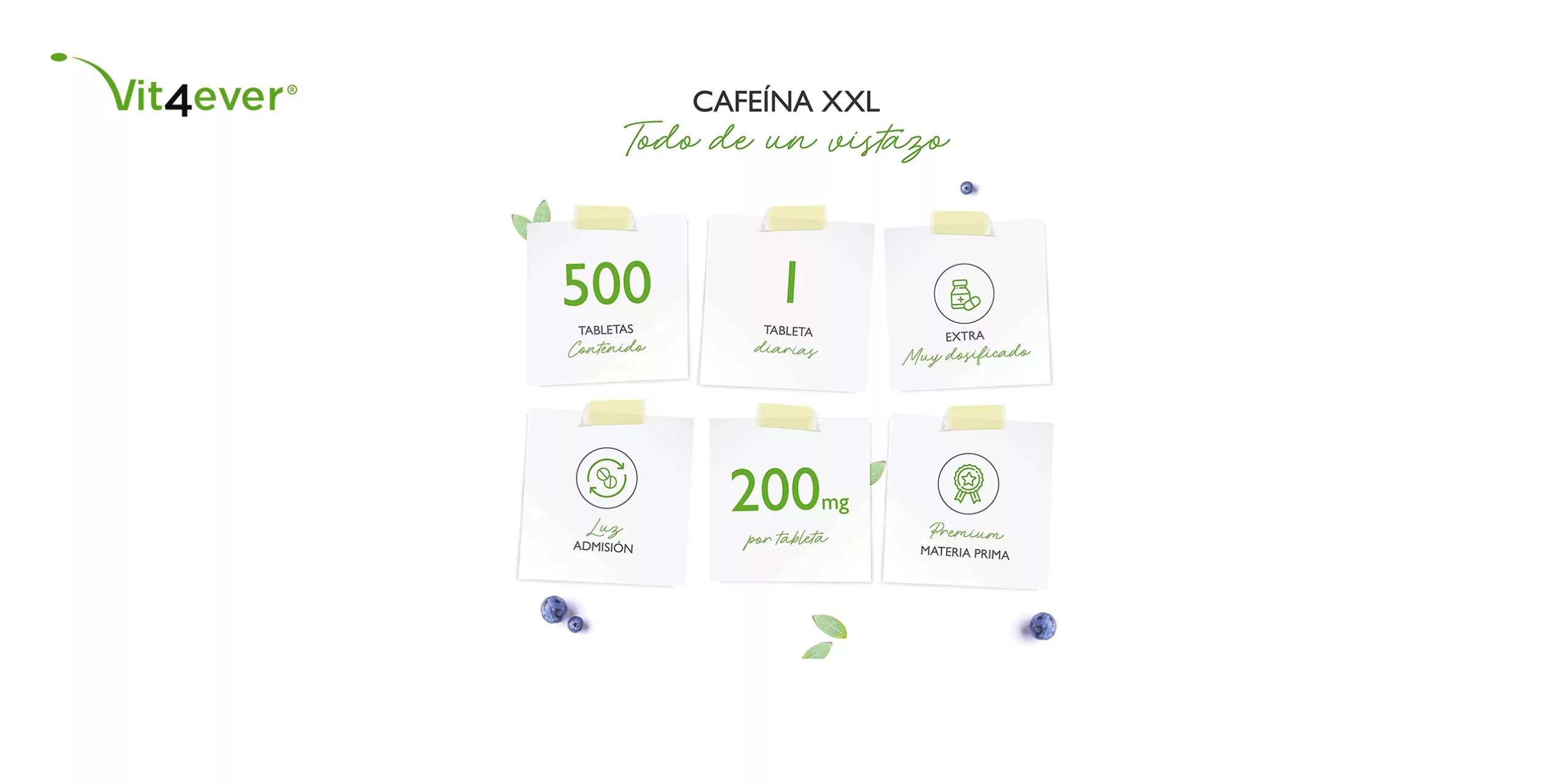 Cafeina XXL vit4ever