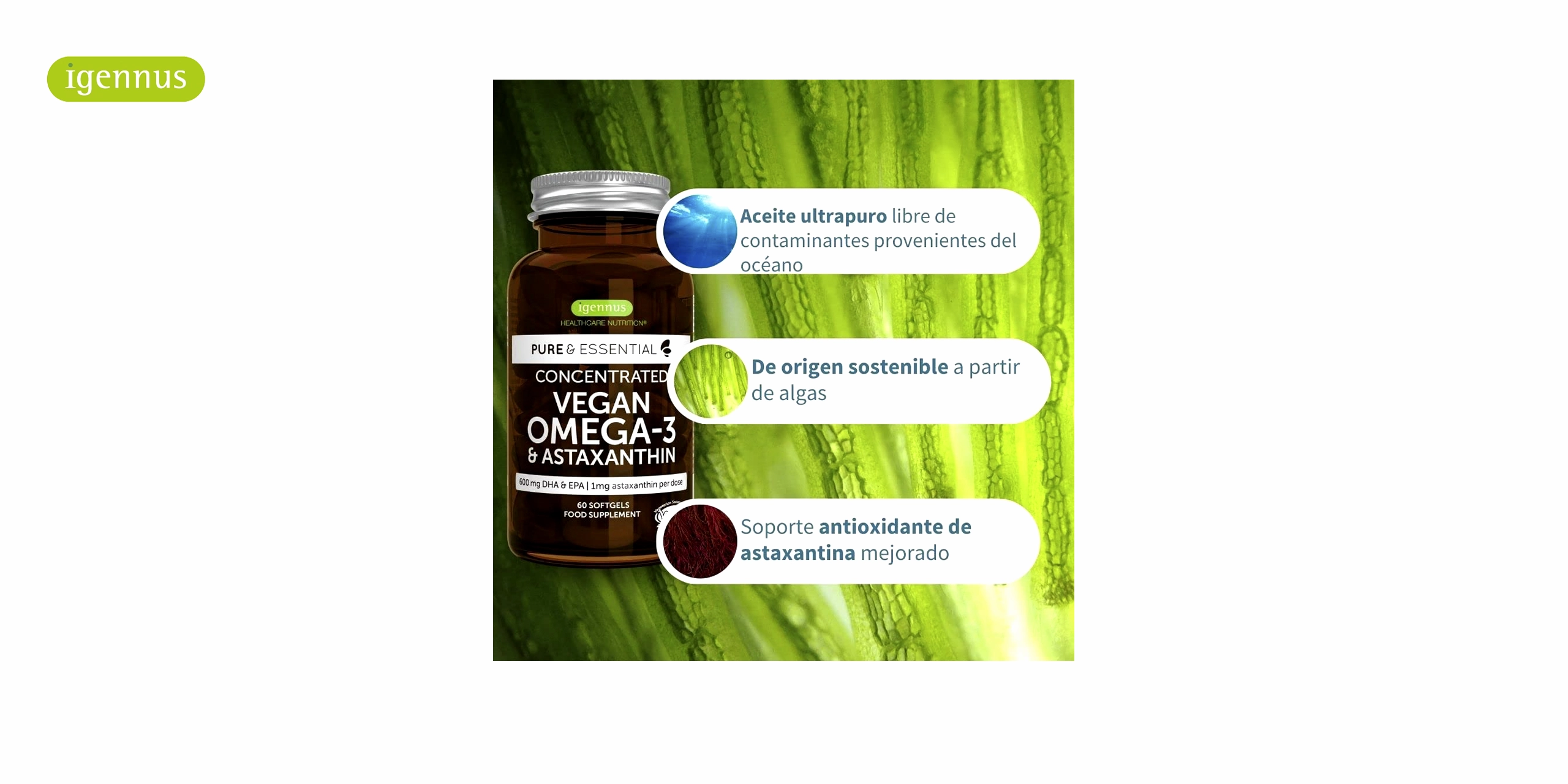 Un bote ambar con el logo de igennus en verde y el nombre de Omega 3 Vegano con Astaxantina en letras blancas. El bote contiene 60 cápsulas blandas de Omega 3 Vegano con Astaxantina, un suplemento que combina los ácidos grasos omega-3 de origen vegetal con la astaxantina, un potente antioxidante que protege las células del daño oxidativo.