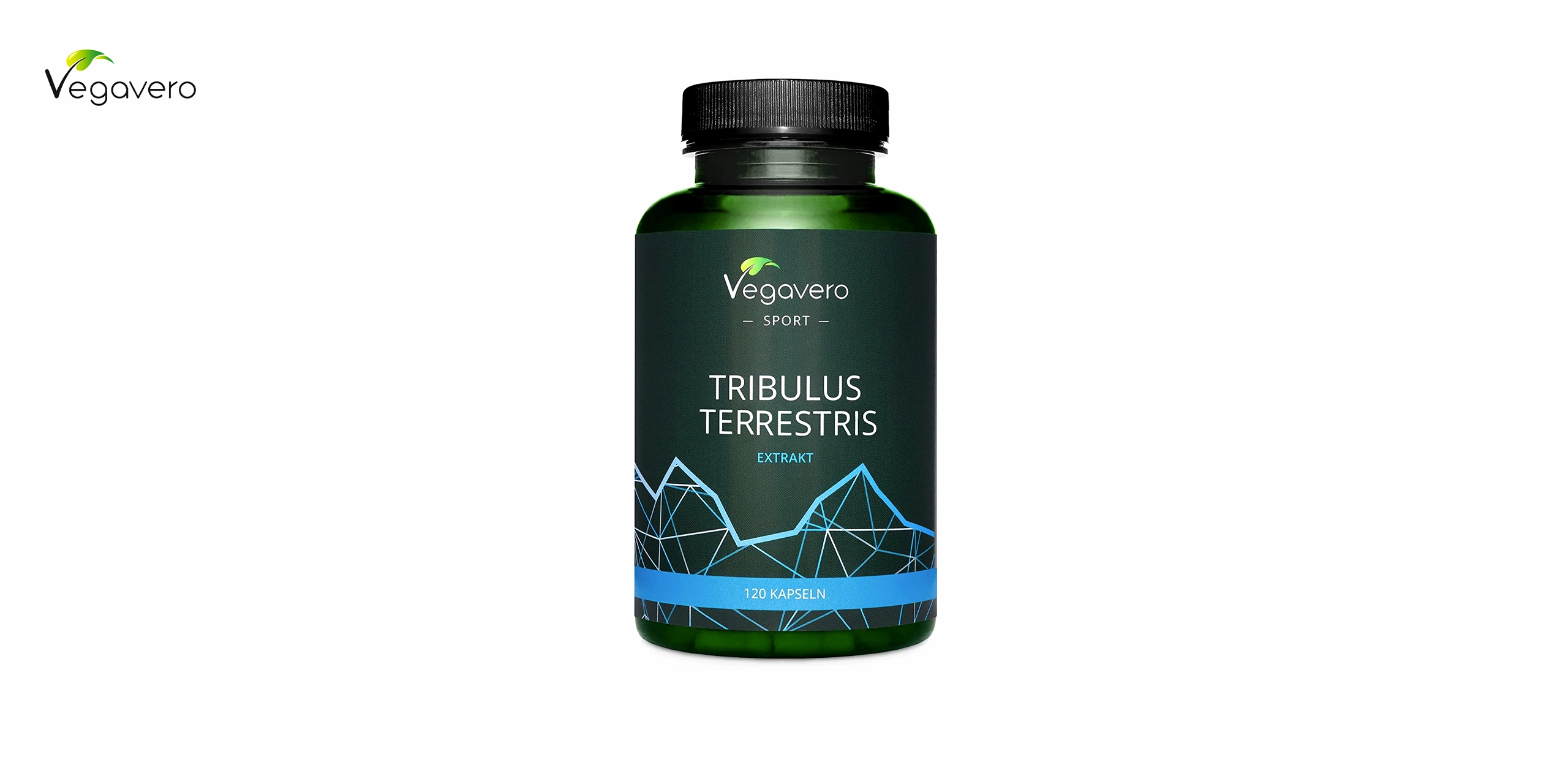 Bote de vegavero verde con detalles azules