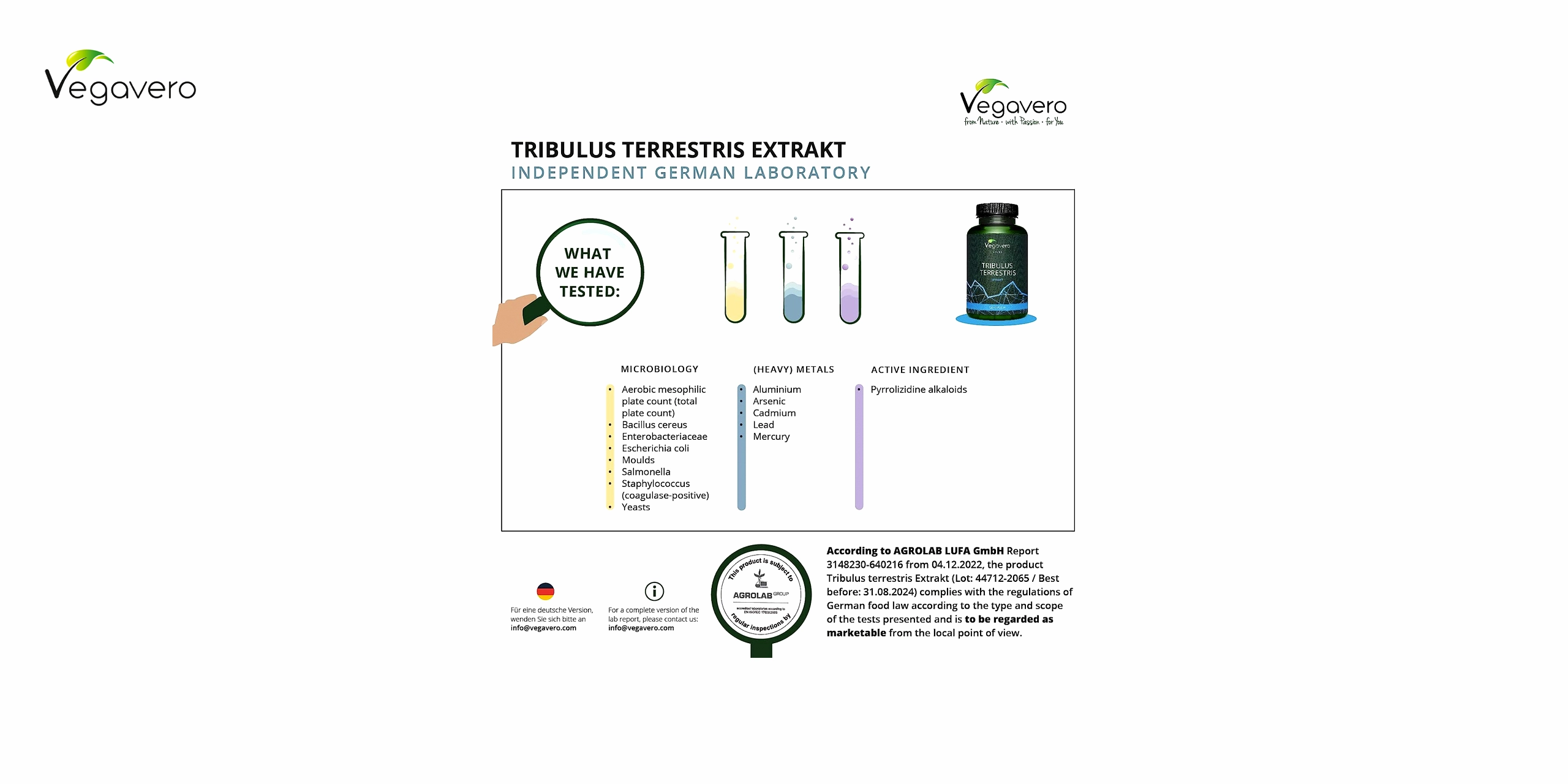 Bote de vegavero verde con detalles azules